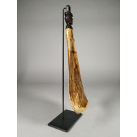 Medicijncontainer gemaakt van schouderblad van een paard